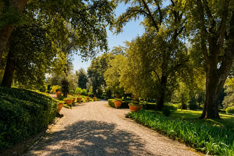 Il viale alberato che porta alla villa